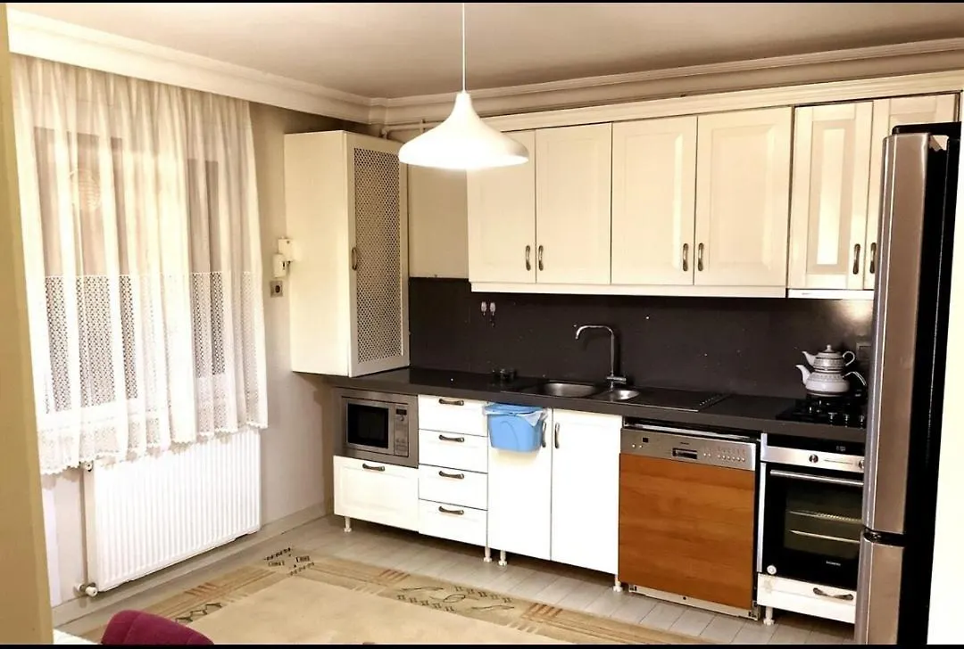 イスタンブールFamily Houseアパートメント 0*, イスタンブール トルコ